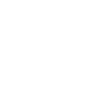 Icono instagram